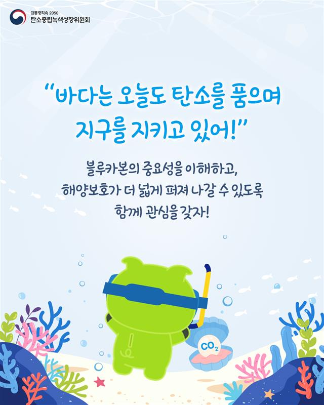 자세한 내용 하단 참조
