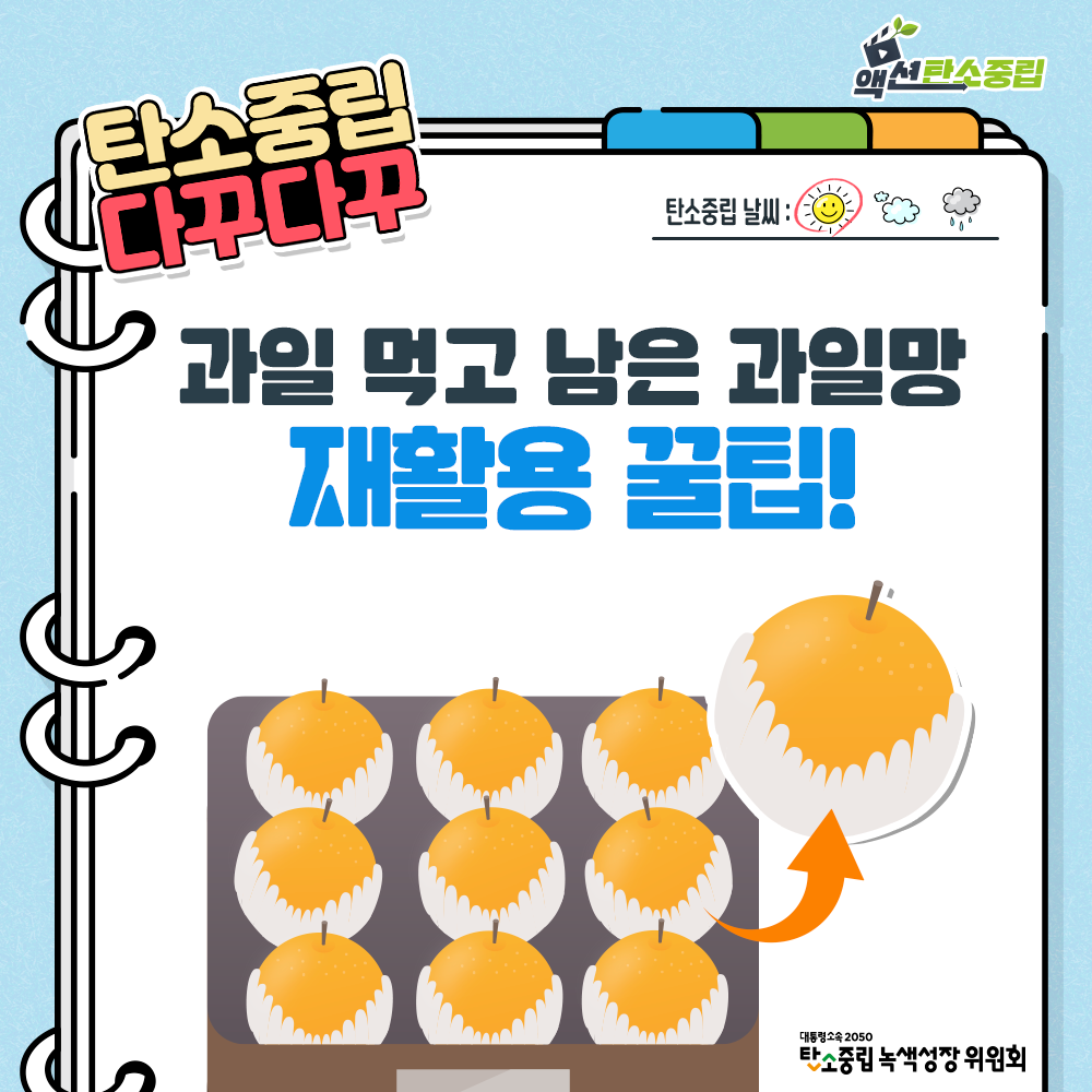과일 먹고 남은 과일망 재활용 꿀팁
