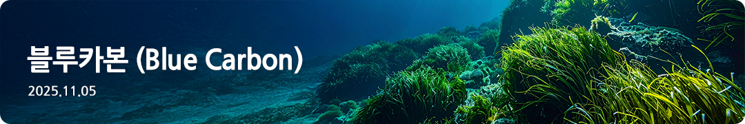 블루카본(Blue Carbon) -2025.11.05