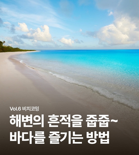 해변의 흔적을 줍줍~ 바다를 즐기는 방법